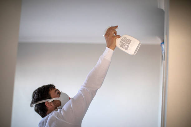 Best Post-Flood Mold Remediation in Willoughby, OH