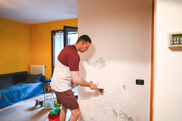 Best Residential Mold Remediation in Willoughby, OH